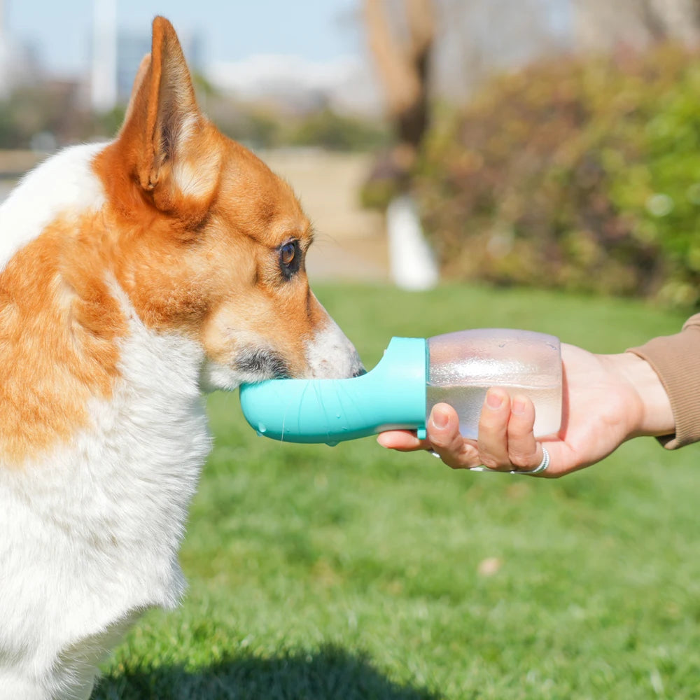 Bärbar vattenflaska för hund - 300 ml | Läckagesäker & Perfekt för promenader